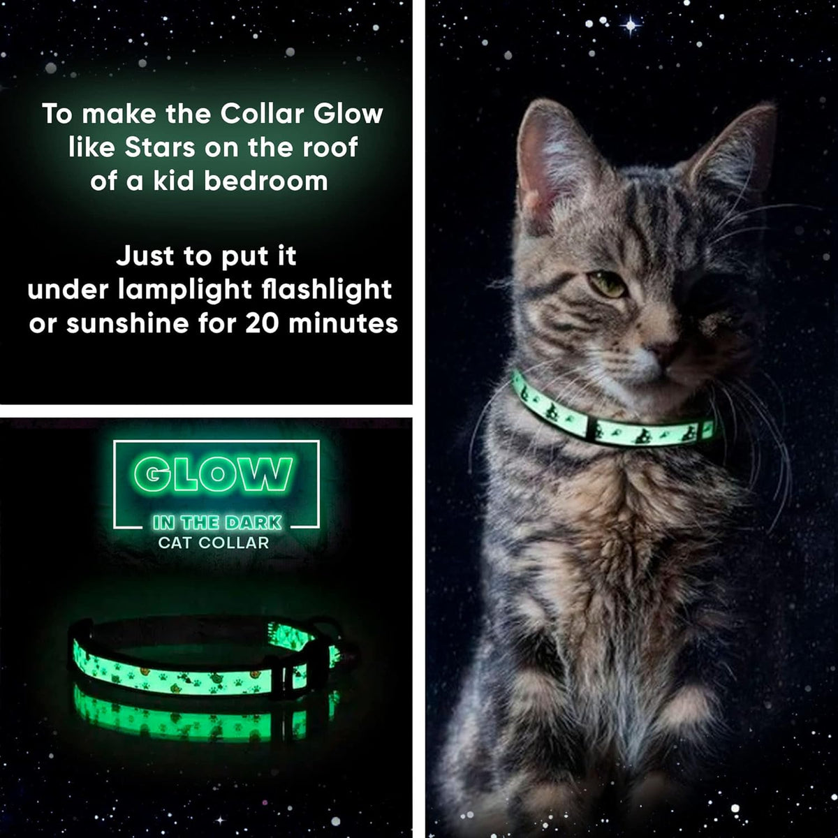 Teal Glow-in-the-Dark Cat Collar with Breakaway Safety Buckle and Adjustable Bell for Kittens