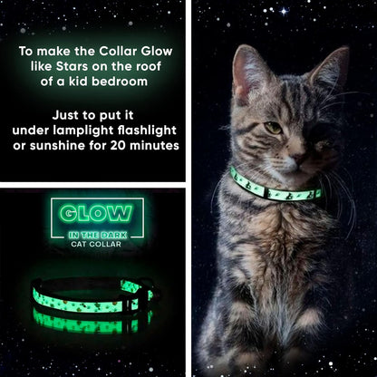 Teal Glow-in-the-Dark Cat Collar with Breakaway Safety Buckle and Adjustable Bell for Kittens
