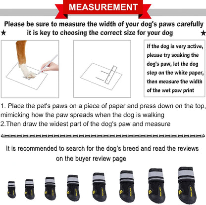 Canine Footwear for Hot Pavement and Winter Conditions: Protective Dog Boots and Paw Shields