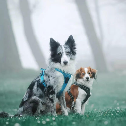 Reflective Adjustable No-Pull Dog Harness Vest in Blue, Extra Small