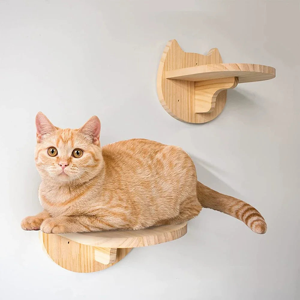 Hanging Cat Hammock Bed