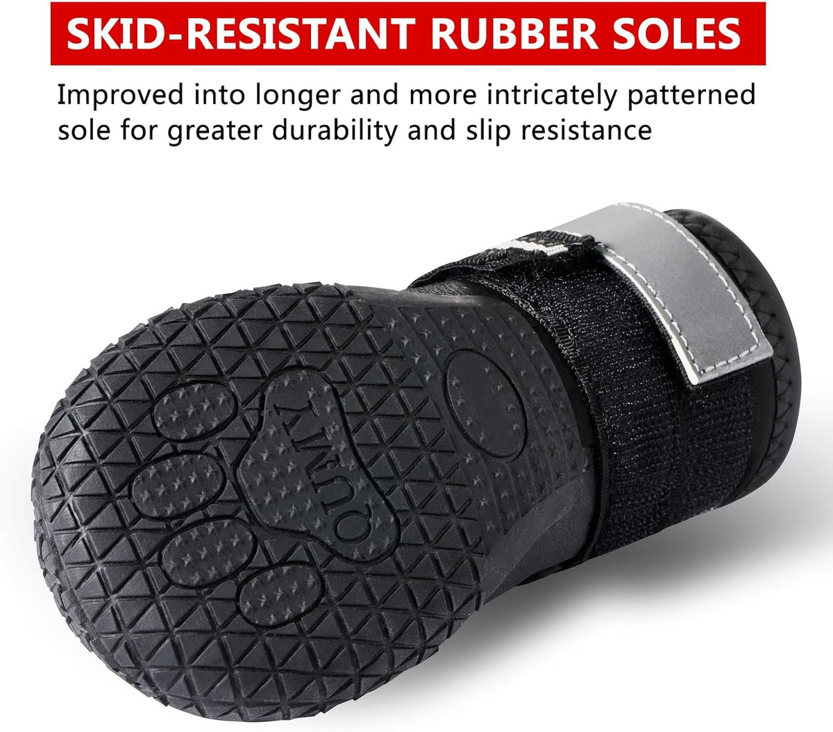 Canine Footwear for Hot Pavement and Winter Conditions: Protective Dog Boots and Paw Shields