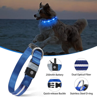 Rechargeable LED Dog Collar - Water-Resistant and Illuminated for Nighttime Walks