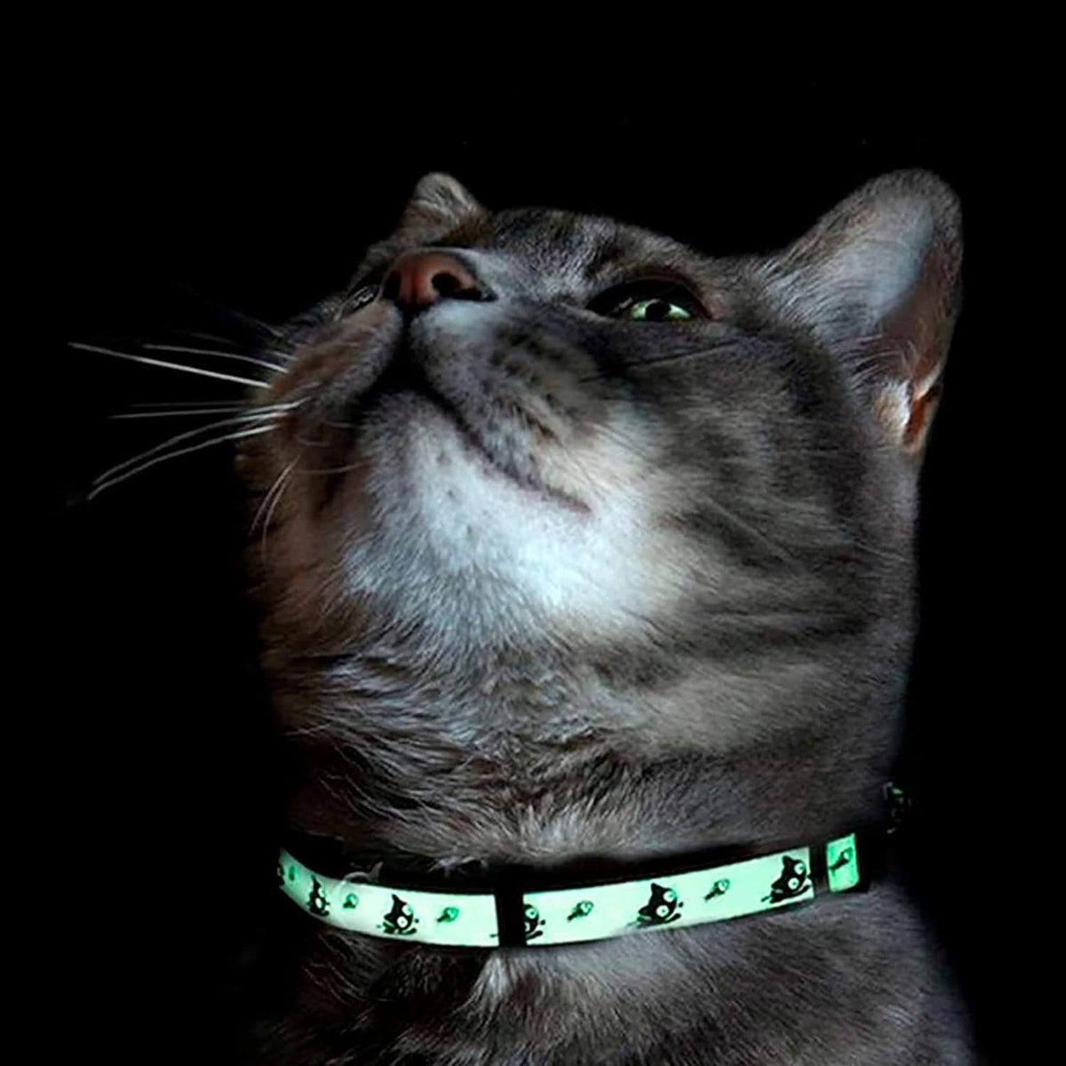 Teal Glow-in-the-Dark Cat Collar with Breakaway Safety Buckle and Adjustable Bell for Kittens