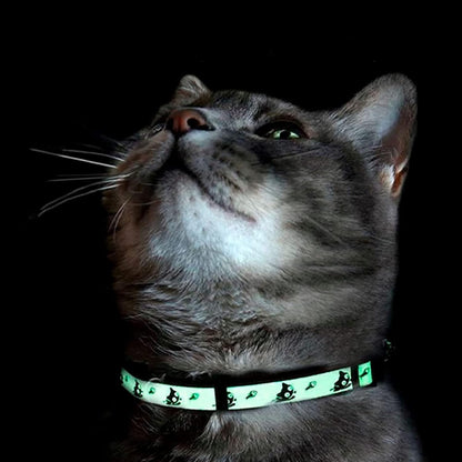 Teal Glow-in-the-Dark Cat Collar with Breakaway Safety Buckle and Adjustable Bell for Kittens