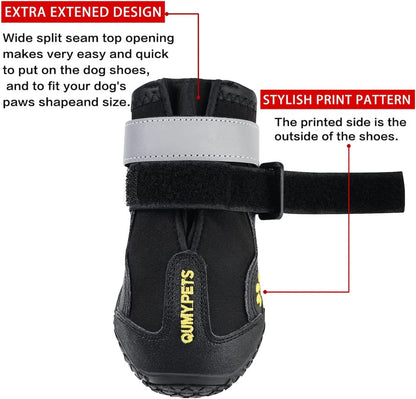 Canine Footwear for Hot Pavement and Winter Conditions: Protective Dog Boots and Paw Shields