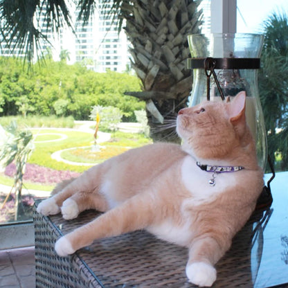 Teal Glow-in-the-Dark Cat Collar with Breakaway Safety Buckle and Adjustable Bell for Kittens