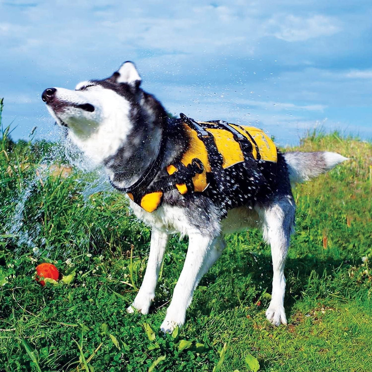 DFD Medium Dog Life Jacket for Swimming - Yellow