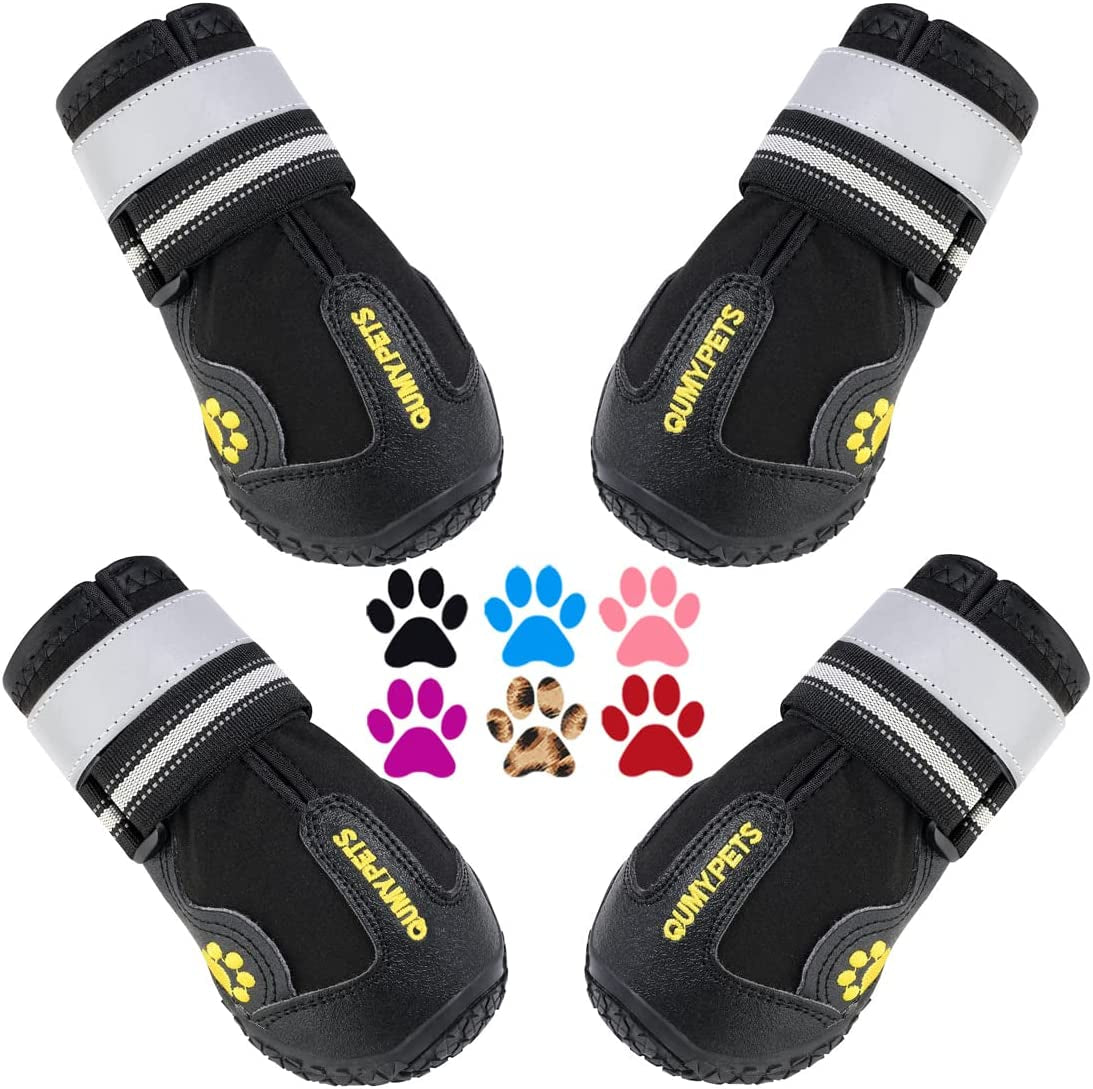 Canine Footwear for Hot Pavement and Winter Conditions: Protective Dog Boots and Paw Shields